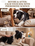 2026 Upgraded Dog Calming Diffuser Refills Kit with 2 Diffusers & 4 Refills, Dog Pheromones Calming Diffuser for Anxiety