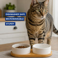 Ceramic Small Dog and Cat Bowls-Set of 2 Pet Dishes with Non-Slip Wood Tray