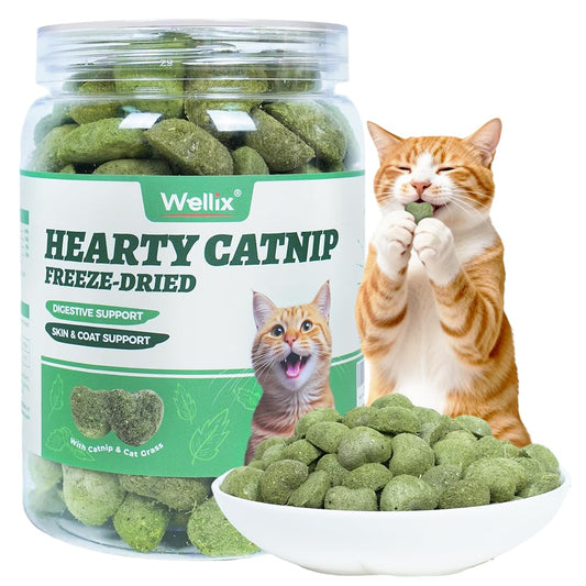 Wellix Catnip Treats Freeze-Dried Cat Treats, Grain-Free Snacks with Chicken, Cat Grass & Catnip for Cats Digestive Support Healthy Skin&Coat, Healthy Feline Training Treats for Indoor Cats, 3oz