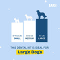 BARKBOX Bright Dental Care Kit - for Dogs - for Large Breeds (50+ lbs)