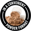 K9Power Go Dog – Hydration & Electrolyte Supplement for Dogs – Boost Stamina, Recovery, Muscle Function & Energy – Beta-Alanine, Creatine, BCAAs, Agave, Green T