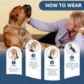 Flea Collar for Dogs, Flea and Tick Collar for Large Dogs, Comfort Fit for Sturdy Dog Flea Collar, Adjustable Tick Dog C