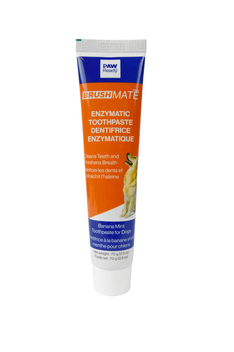 Paw Ready from Doggy Breath to Doggy Fresh Dog Dental Care Enzymatic Toothpaste for Dogs | Cleans Teeth and Freshens Breath | Safe for Puppies, Clinical Care, Banana Mint Flavor - 1 Pack 70g (2.5 oz)