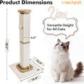 38" Tall Cat Scratching Post with Interactive Cat Toy for Large Cat