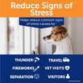 ThunderBites Dog Calming Chews, Thiamine, L-Tryptophan, Melatonin and Ginger, Can Help Relieve Stress from Separation, Storms, Fireworks & Travel (60 Count), Formerly ThunderWunders