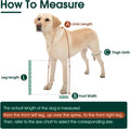 Dog Suspender Boots, Anti-Slip & Fall Waterproof Dog Shoes Leggings, Dog Paw Protector for Small Medium Dogs, Adjustable