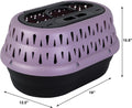 Petmate Top Load Plastic Cat Kennel for Small Dogs, Puppies & Cat Carriers, One-Door, Top Loading, Made in USA, 19" for Pets Up Tp 10 lb, Purple