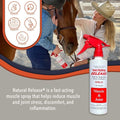 Four Oaks Farm Ventures, Natural Release Muscle Spray Treatment - Horse Liniment for Sore Muscles, Joint Pain, Tendon & 
