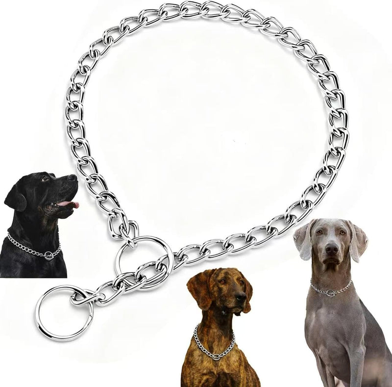 Martingale Dog Collar for Small Dogs, Adjustable Safety Choker Collar for Puppy Training, Limited Slip Control for XS S 
