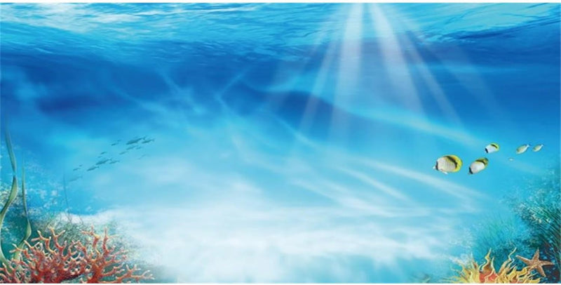 Undersea Aquarium Backdrop Underwater Coral Fish Tank Background 24x16 in