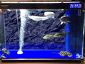 VIP. LINE 3D Effect Black Stone Texture Aquarium Background Poster Fish Tank Backdrop Decorations PVC Background (30" x 