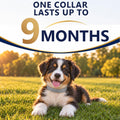 Flea Collar for Dogs, Flea and Tick Collar for Small Dogs, 2 Pcs