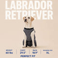 Versatile Dog Rear Leg Recovery Sleeve, Dog Surgery Recovery Suit
