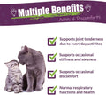 Amber NaturalZ Adizone C Herbal Supplement for Cats | Supports Healthy Inflammatory Response, Occasional Discomfort, and Normal Joint Function | Natural Aid for Active and Aging Felines 1oz
