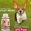 Amazing Cranberry Supplement for Dogs - Urinary Tract & Bladder Support - 120 Cranberry Chews with Apple Cider Vinegar for Immune Health - Dog Urinary Supplement - Made in USA - Bacon Flavor