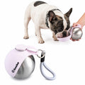 Cibaabo 2 in 1 Portable Dog Water Bottle with Bowl, 10 oz Stainless Steel No-Spill Travel Pet Water Dispenser with Collapsible Silicone Bowl for Small Dog & Puppy Walking Hiking Outdoor