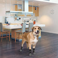 PUPTECK Dog Socks to Prevent Licking Paws, Dog Shoes for Hot Pavement