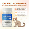 Dewormer for Cat and Kittens, Broad Spectrum Praziquantel & Pyrantel Pamoate Tablet, Removal of Tapeworms, Hookworms & R