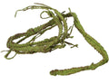 emours Flexible Realistic Jungle Vines Pet Habitat Decor for Lizard,Frogs, Snakes,Chameleons and More Reptiles, 3.6ft Lo