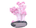 Semetall 2Pcs Sea Coral Aquarium Ornament