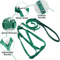 Adjustable Bird Harness and Leash for Yellow Naped Amazons Galah Cockatoos