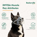 Baskerville INVISA Basket Dog Muzzle | Size