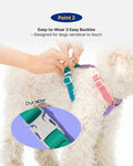 PETHROOM × Wiggle Wiggle Smile We Love Dog Backpack Harness with Leash – Cute Flower-Shaped Mini Backpack, No-Pull Adjustable Harness for Small Medium Dogs, Ideal for Travel, Camping & Hiking (Large)