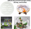 Acrylic Aquarium Anti Jumping Lid Cover with Hole to Prevent Fish, Reptiles, Shrimp Turtles from Out of The Tank 1 Piece