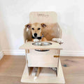 Bailey Chair for Dogs – Adjustable Wooden Feeding Chair with Tray, Upright Megaesophagus Support, Handmade Birch Plywood