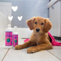 earthbath, Ultra-Mild Wild Cherry Puppy Shampoo & Spritz - Cruelty Free Dog Shampoo and Conditioner, Made in USA, Tearless & Extra Gentle Dog Wash, Best Puppy Shampoo & Puppy Supplies - (1 Set)