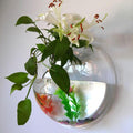 Wall Mounted Plant jar, can Hang Flower vases for wall Decoration, shatterproof Round Acrylic jar Bowl, Suitable for Hom
