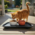 BugSnub Ant Proof Tray - Waterless, Moat Free Cat and Dog Food Tray for Crawling Pest Free Pet Food Feeding Station. Kitchen Sweets and Trash, Ant Free Platform.