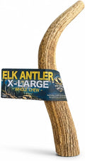 Extra Large/Whole