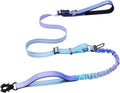Heavy Duty Hands Free Dog Leash with Quick Release Carabiner and Adjustable No Pull Bungee Dog Running Waist Leash，for W