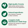 Nutro Natural Choice Cuts in Gravy Wet Dog Food, Grain Free Dog Food Wet Turkey, Chicken, Lamb, Beef Recipes Variety Pack, 3.5 oz. Trays (24 Count, Pack of 1)