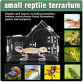 Acrylic Jumping Spider Enclosure House-Shaped Terrarium