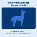 PetSafe Solvit Pet Lifting Aid for Rear Portion, Large, Black (62365)