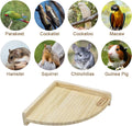 Litewoo Bird Perch Corner Platform Stand Shelf for Birds Budgie Parakeet Cockatiel Conure Cockatoo（Platform）