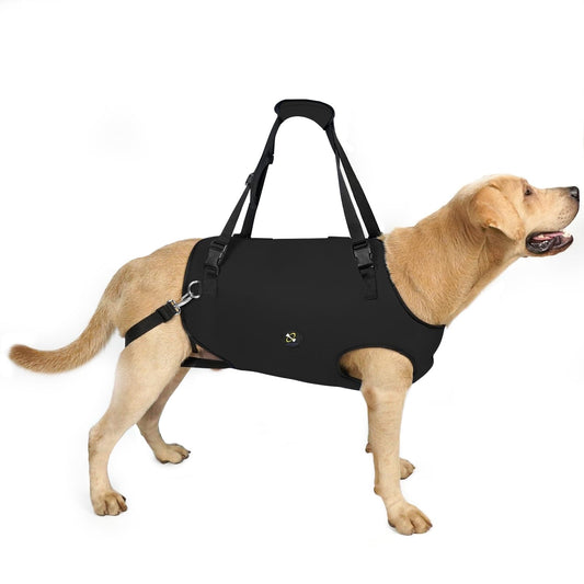 Coodeo Dog Lift Harness, Pet Support & Rehabilitation Sling Lift Adjustable Padded Breathable Straps for Old, Disabled, Joint Injuries, Arthritis, Loss of Stability Dogs Walk (Black, XL)