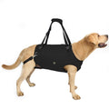 Coodeo Dog Lift Harness, Pet Support & Rehabilitation Sling Lift Adjustable Padded Breathable Straps for Old, Disabled, Joint Injuries, Arthritis, Loss of Stability Dogs Walk (Black, XL)