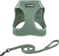 Voyager Step-in Air Cat Harness & Leash Set - Moss Green, XS