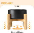 SPUNKYJUNKY Ceramic Elevated Dog Bowls 2 Pack - 6.1inch Raised Dog Bowls with Non-Slip Wooden Stand for Medium Dogs Dish