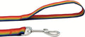 TAIAN 4FT/5FT/6FT Strong Dog Leash, Nylon Dog Leashes for Small Medium Large Dogs (Rainbow, 1 in x 10 ft)