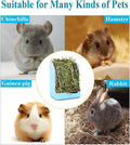 Rabbit Hay Feeder, Large Capacity Bunny Hay Rack for Rabbits, Guinea Pigs, Chinchillas, Small Animals, Hay Dispenser