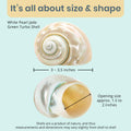Hermit Crab Shells | Turbo Shells | White Pearl Jade Green Turbo Shell 3"-3.5" | Hermit Crab House for Décor | Plus Free