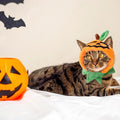 ALIBBON Cat & Dog Halloween Costume - Pumpkin Headdress & Cap Set for Puppy & Kitty Cosplay