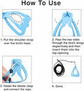 Bird Harness and 3M Elastic Flight Leash, Adjustable Parrot Harness for Budgies, Parakeets, Lovebirds, Cockatiels, Conur