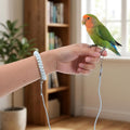 cobee Bird Leash with Elastic Bracelet and 4 Size Anklet, 6.56ft Lightweight Parrot Flying Rope Bird Harness Anti-Bite F