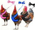 Chicken Harness and Leash Set,Hen Pink Vest Escape Proof for Duck Goose Rooster