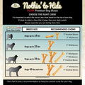Fieldcrest Farms Nothing to Hide Natural Rawhide Alternative 3'' Wish Bones for Dogs - Digestible Rawhide Free Dog Chews Long Lasting - Bones for Small Dogs - Great for Dental Health 24 Bones